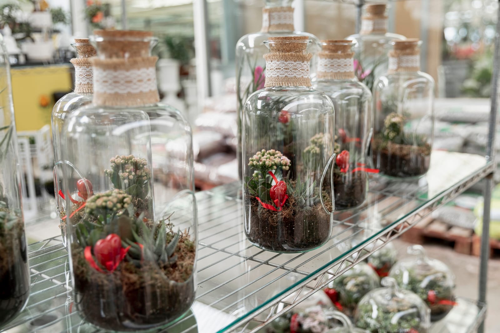 Terrário de Vidro Fechado — Médio montado pelo ateliê Nano Hub